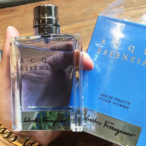 5 Colognes Similar To Versace Pour Homme [Ultimate Dupes].